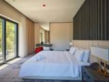 Standard Double room with balcony and with mountain view