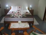 Standard Double room with garden view