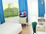 Premier room with park view