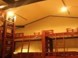 Bed in Dorm