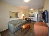 1 Bedroom Single Suite