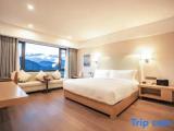 Executive Double Suite