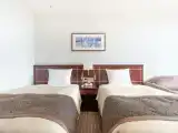 Deluxe Twin room with balcony