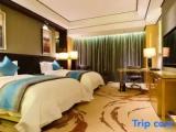 Standard room with city view