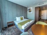 Deluxe room with park view
