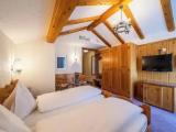 Standard Double room with balcony and with mountain view