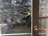Standard Single room with garden view