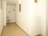 1 Bedroom Basement Apartment