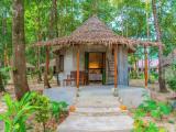Deluxe Double room with balcony and with garden view