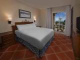 Standard Double room with balcony and with view
