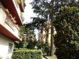 2 Bedrooms Standard Quintuple Apartment