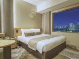 Superior Plus Double room
