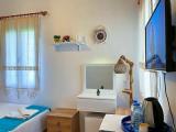 Standard Double room with garden view