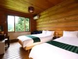 Standard Double room with mountain view