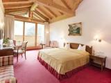 Standard Double room with balcony and with mountain view