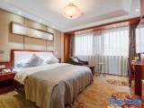 Executive Single room with garden view