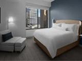 1 Bedroom Single Suite