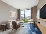 1 Bedroom Executive Suite