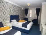 Standard Triple Family room