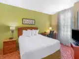 Premium Quadruple Studio