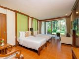 Deluxe room with balcony and with river view