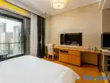Business Double room with balcony
