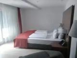 Standard Double room with balcony and with sea view