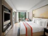 Classic Double room with mountain view