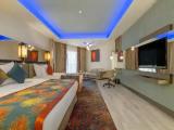 Deluxe Suite with land view