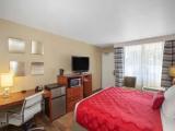 Standard Double room with street view