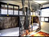 Bed in Dorm