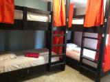Bed in Dorm