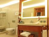 Executive Double Suite
