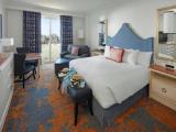 Deluxe Hearing Accessible room