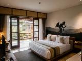Double Suite with garden view