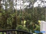 Deluxe Triple room with balcony