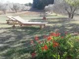 1 Bedroom Apartment with land view
