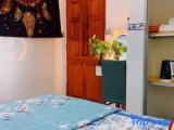 Standard Quadruple room with garden view