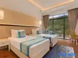 Standard Twin Club room