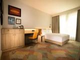 Queen Accessible Double room