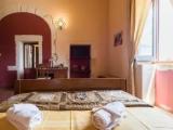 Standard Double room with garden view