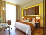 1 Bedroom Deluxe Suite