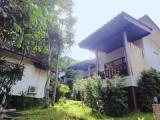 Bungalow with garden view