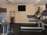 1 Bedroom Single Suite