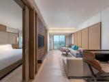 Premier Double Suite