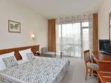 Standard room with park view