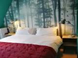 Standard Attic room