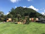 Deluxe Double room with garden view