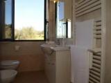 1 Bedroom Classic Apartment with garden view