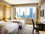 Deluxe Twin room with city view